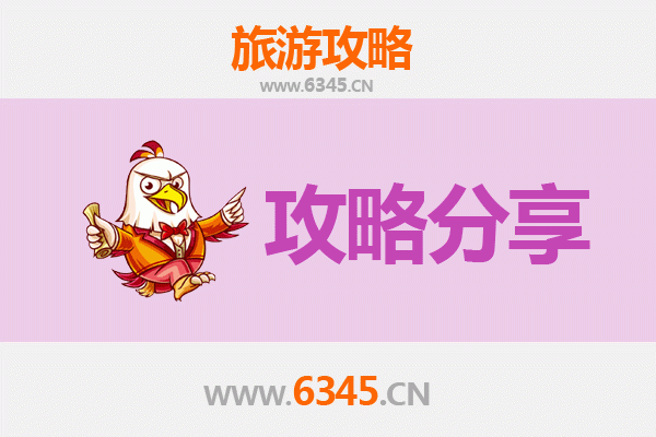 滨州滨城至湄洲岛旅游攻略：跟团 vs 自由行深度解析