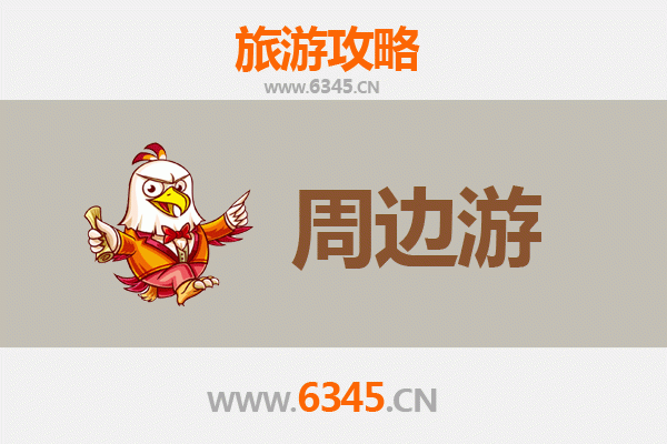 滨州滨城周边游攻略：探索黄河三角洲的隐藏宝藏